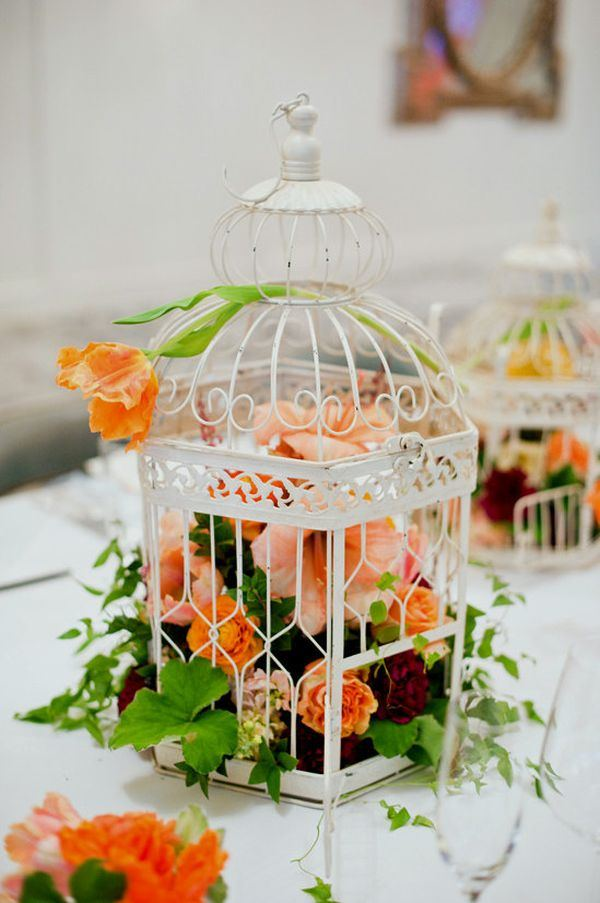 decorative-bird-cages
