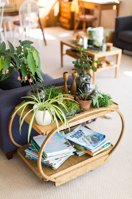 decorating-with-plants