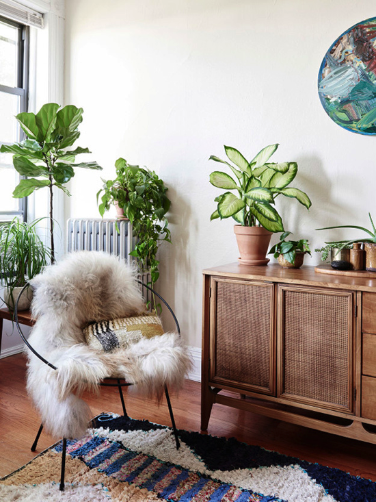 decorating-with-plants