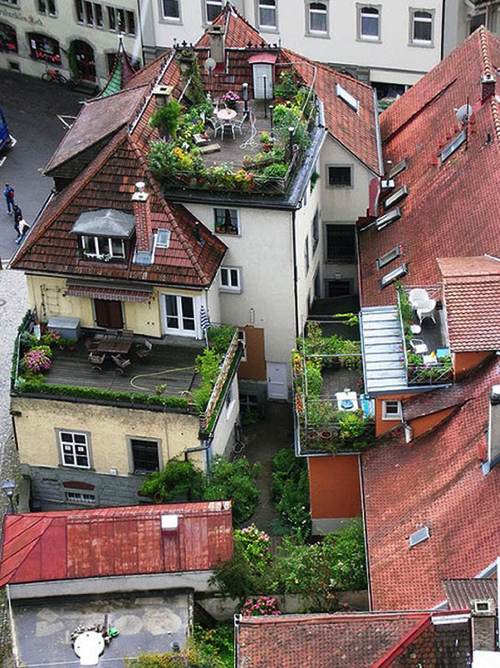 romantic-rooftop-gardens