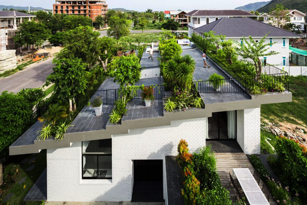 lovely-roof-garden